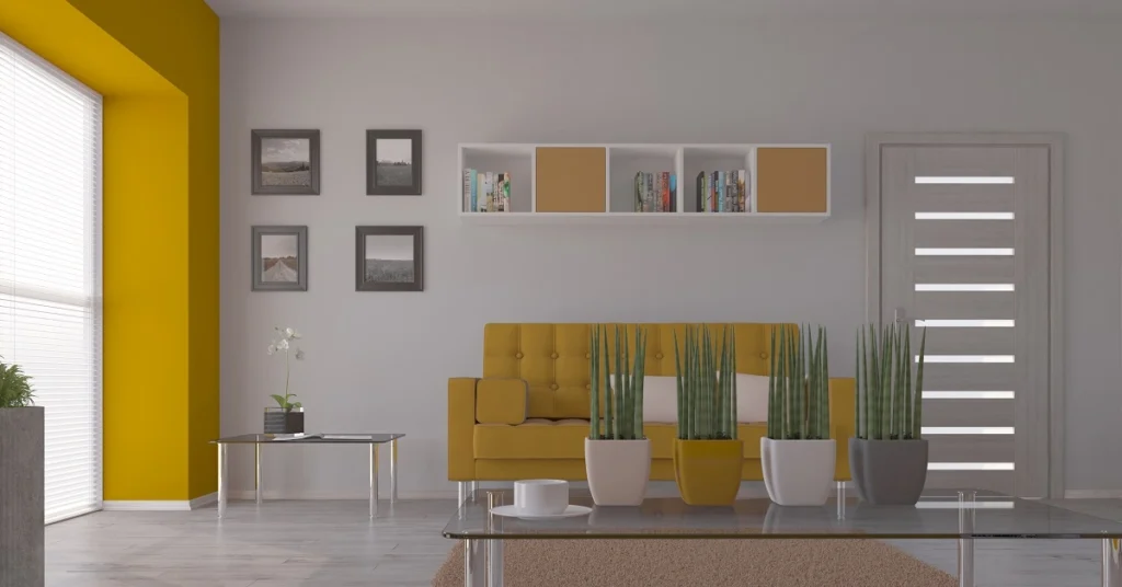 interior design drhomey